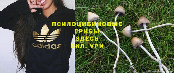 таблы Арсеньев
