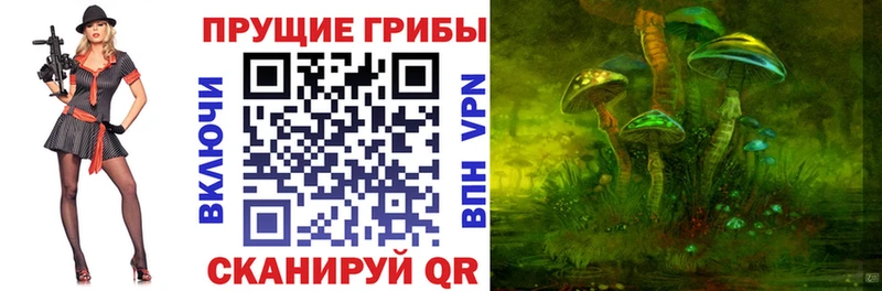 Псилоцибиновые грибы ЛСД  купить наркоту  Ачинск 