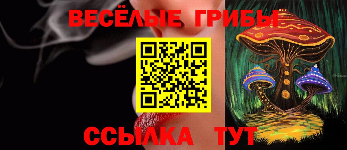 Ачинск  магазин  наркотиков  Вход с VPN  Псилоцибиновые грибы ЛСД  Псилоцибиновые грибы Cubensis 