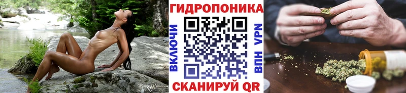 цены   Ачинск  Бошки марихуана гибрид 